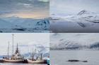 .%2F%2Fvoyages%2F201305%20Islande%2FBest%20Of