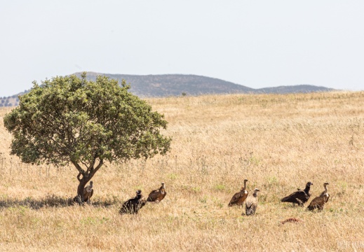 2024 05 13 Portugal 0126540