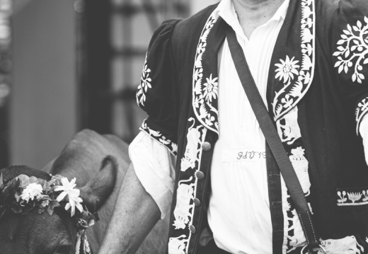 2019 08 11 Fevi2019 010755