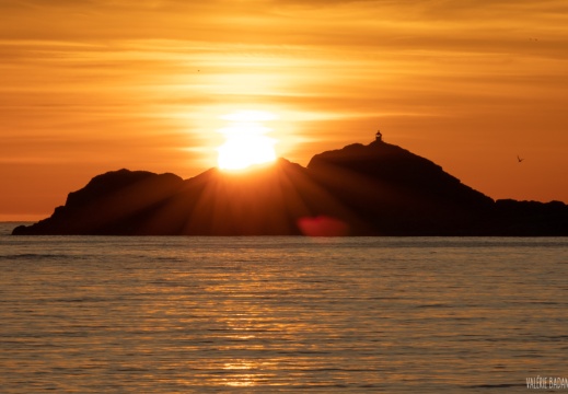2022 05 30 Lofoten 0065261