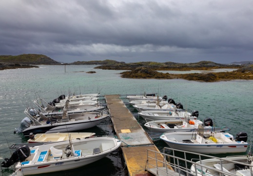 2022 06 05 Lofoten 0066513