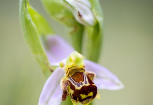 2022 04 19 CharenteMaritime 0062262