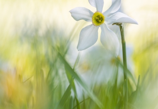 2022 05 15 Pleiades 0063108