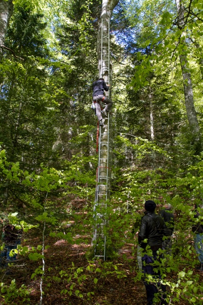 2012_05_17_chouettes_faucons_1344.jpg