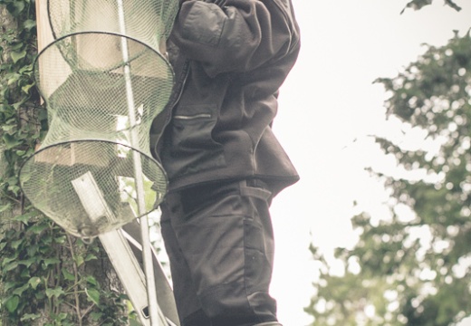 2014 05 03 hulottes 04864-2