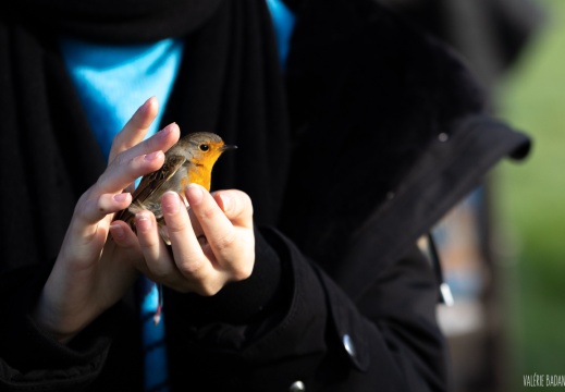 2022 11 11 Bret 0080412