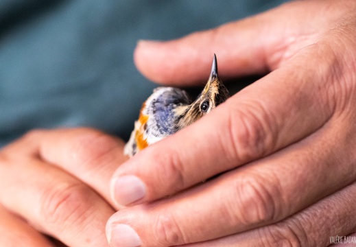 2023 09 15 Bret 0104423