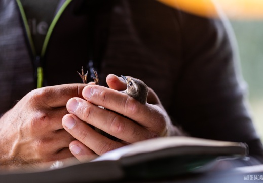 2023 09 15 Bret 0104445