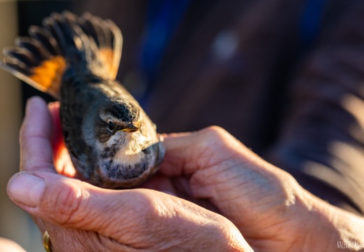 2023 09 20 Bret 0104842