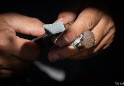 2023 09 20 Bret 0104865