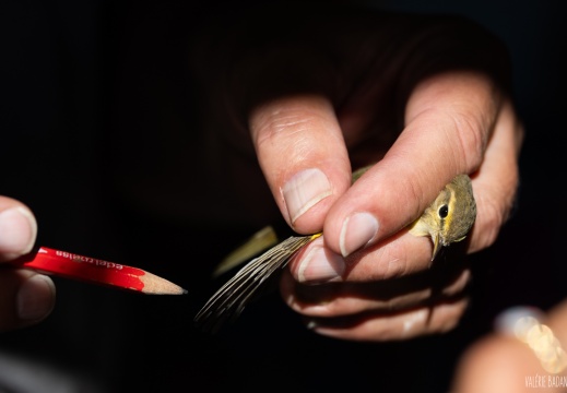 2023 09 20 Bret 0104884