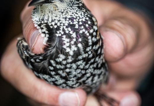 2023 10 05 Bret 0105426