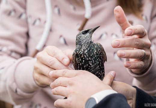 2023 10 05 Bret 0105494