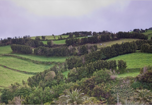 2010 05 07 acores 5408