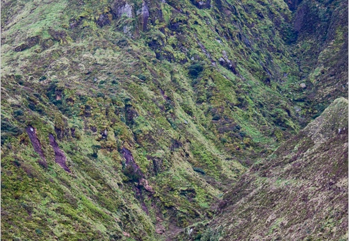 2010 05 10 acores 5587