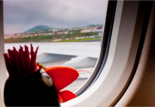 2010 05 14 acores 5784