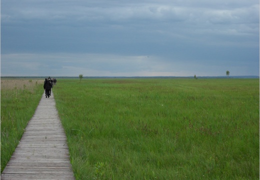 2009 05 29 pologne 4342c