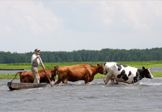 2009 05 31 pologne 4876