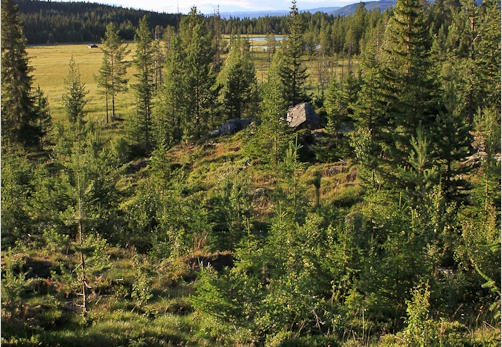 2010 07 22 norvege 9237