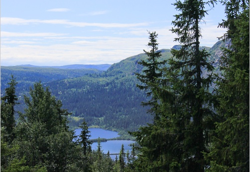 2010 07 23 norvege 9327