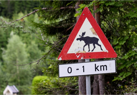 2010 07 23 norvege 9448